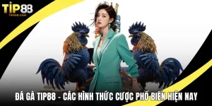 Đá gà TIP88