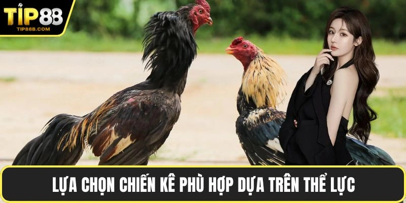 Lựa chọn chiến kê phù hợp dựa trên thể lực