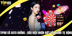 TIP88 có auto không